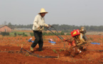 Targeted poverty reduction calls for elaborate work: Xi Jinping