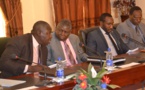 Tchad : Près de 4 millions de personnes vivent de la culture du coton