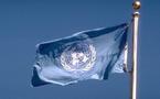 Tchad: L'effectif de la future force de l'ONU ramené à 4.900 hommes