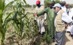 Bassin du lac Tchad : Investir dans l'agriculture pour affronter la faim et la pauvreté (FAO)