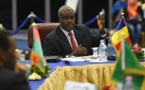 Union Africaine : Moussa Faki reçoit une délégation congolaise