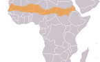 Bonne nouvelle: Repport du sommet sur lé sécurité dans la bande sahélo-saharienne