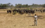 Tchad : "Il est hors de question que notre pays soit dirigé par des aventuriers semi-dictateurs" G.N