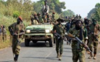 Centrafrique : FPRC, un aveu de faiblesse ou une reprise en main?