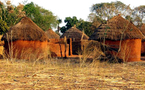 Tchad : 7 milliards pour la contruction d’un musée national