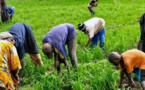 Angola – La BAD appuie la transformation agricole et le développement des infrastructures pour une croissance inclusive