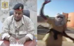 Le gouvernement libyen évalue l'effectif de l'opposition tchadienne à 5000 hommes