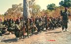 RCA : La rébellion centrafricaine unifiée, prépare une offensive de grande envergure