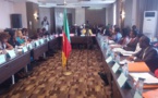 Cameroun:A quoi ressemblera le SAGO 2017