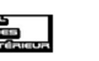 Lancement du site diasporaguinee.com
