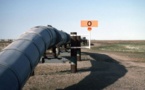 Le Tchad s'apprête à exploiter des gisements d'hydrocarbures très prometteurs de Sedigui