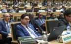 Réunion du Conseil Exécutif de l'Union Africaine (U.A) à Addis Abeba : les compères algéro-polisariens font leur cirque
