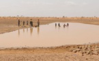 Niger : 14 paysans tués après avoir été confondus avec des terroristes