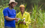 Développement des petits exploitants agricoles africains : les progrès sont lents