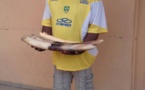 Un ex-marin de l'armée togolaise arrêté en possession de 4 pointes d'ivoire à Lomé