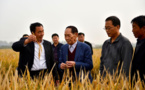 China super hybrid rice output sets new world record