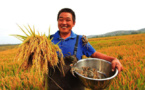 China sets roadmap for green agriculture