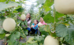 China’s rural vitalization strategy boosts farmers’ confidence