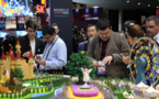 Chinese smartphone brands capture 48 %%of global market share