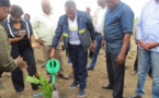 Congo : 2000 plants enfouis à la 31ème de la journée nationale de l’arbre