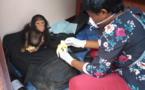 Cameroun : un bébé chimpanzé sauvé à Ambam