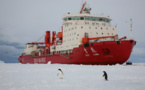 China’s icebreaker Xuelong obtains important data in Antarctica 
