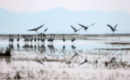 China to expand its ecological ‘red lines’ across the country