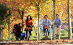 China’s shared bikes generate revenue of 221.3 billion yuan in 2017