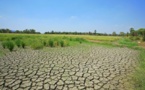 Worsening Worldwide Land Degradation  Now 'Critical,' Undermining Well-Being of 3.2 Billion People