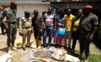 Cameroun: Quatre trafiquants arrêtés à Santchou