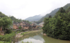 Fujian village innovates tea planting model to reduce poverty