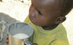 Tchad : les producteurs de lait veulent encourager sa consommation