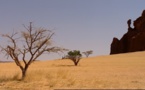 Le Tchad et le CORAF s’engagent à promouvoir les technologies intelligentes face au climat