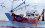 Le nouvel accord de pêche Maroc-Union Européenne intègre bien le Sahara marocain