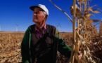American farmers become direct victims to trade war
