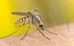 Santé : halte à la prise en charge aberrante ou inadéquate du paludisme dans les formations sanitaires
