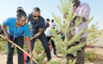 Kubuqi sets example for desertification control