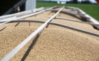 US farmers face risk of losing Chinese market: official