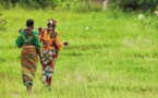 China assistance accelerates Africa’s steps towards agricultural modernization