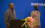 Commentary: Vitality highlights China-Guinea community of common destiny