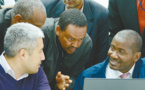 Chinese institute on South-South cooperation contributes to African development 