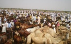 Tchad : 32 organisations pastorales bénéficient de 86 millions F CFA
