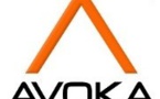 Avoka publie les résultats de sa nouvelle étude sur les ventes digitales dans le secteur bancaire