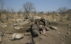Afrique : les professionnels du tourisme inquiets du braconnage