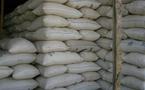 Huile d'arachide : La décision qui met plus de 400 000 sacs d’arachides dans les stock
