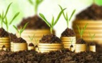 Les institutions financières unissent leurs forces pour mobiliser des investissements en Afrique