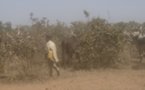 L’enfant bouvier, un ring de bataille