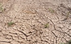 Poorest Countries Arrive in Poland with High Hopes and Dire Needs