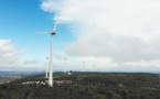 EDP : Chinese Companies are Long-Term Trustworthy Cooperation Partners