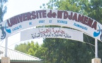 Tchad : 1705 faux diplômes identifiés dans un rapport partiel d'audit